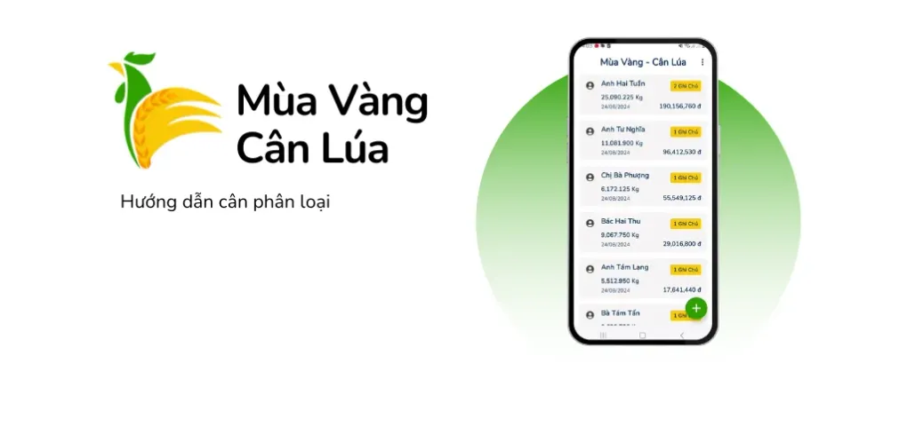 Hướng Dẫn Tính Năng Cân Phân Loại: Định Giá Chính Xác, Tối Ưu Lợi Nhuận