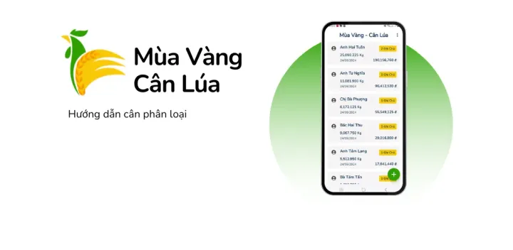 Hướng Dẫn Tính Năng Cân Phân Loại: Định Giá Chính Xác, Tối Ưu Lợi Nhuận