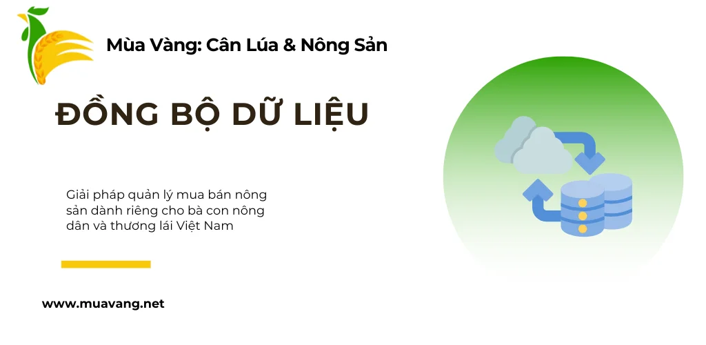 Đăng Nhập và Đồng Bộ Dữ Liệu Mùa Vàng: An Toàn Tuyệt Đối, Làm Việc Mọi Nơi