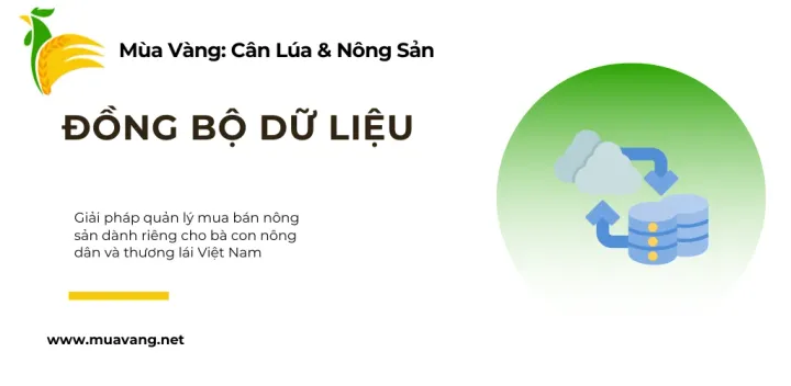 Đăng Nhập và Đồng Bộ Dữ Liệu Mùa Vàng: An Toàn Tuyệt Đối, Làm Việc Mọi Nơi