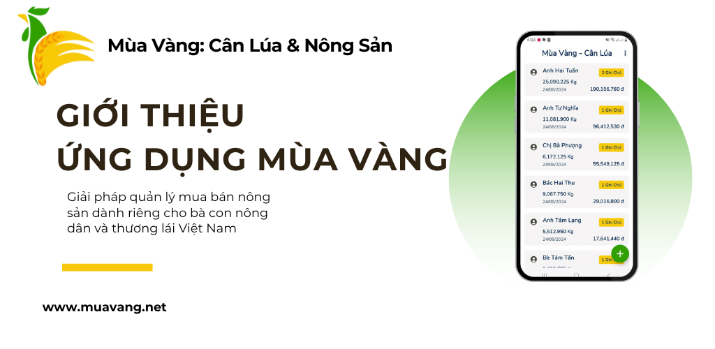 Mùa Vàng App - Ứng dụng cân lúa thông minh